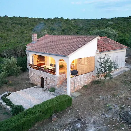 House Lekic *