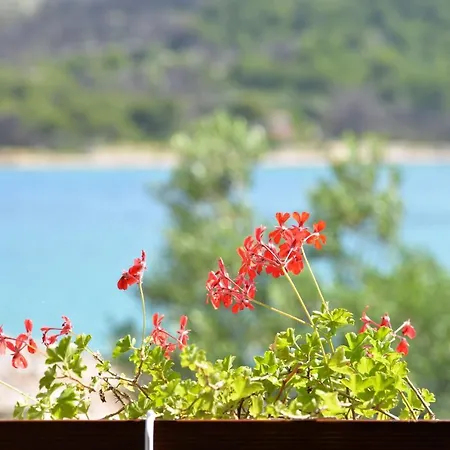 Dom wakacyjny House Lekic Otok Zizanj